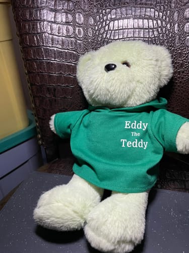 Customer photo review of Green Eddy The Teddy Hoodie