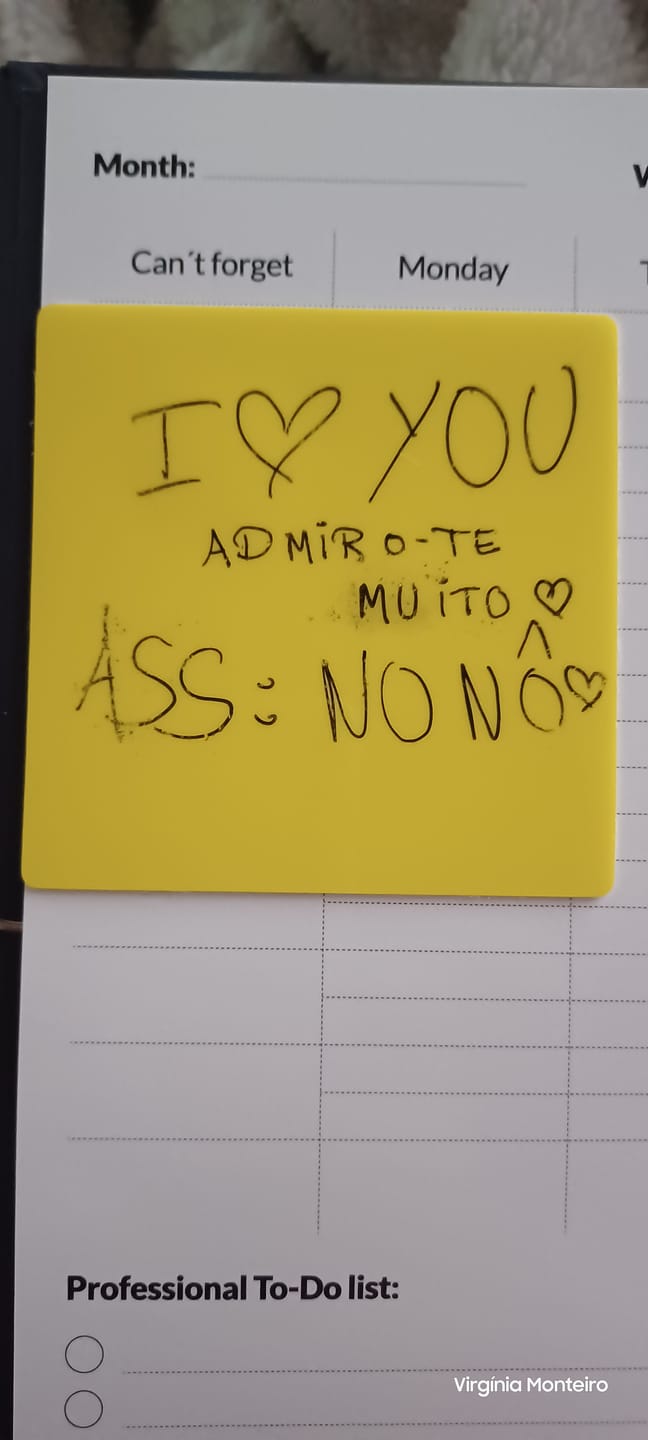 Customer photo review of Colored Reusable Sticky Notes