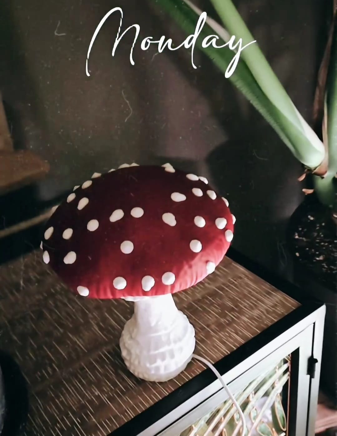 Customer photo review of Amanita Pilz Lampenschirm-Kit