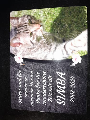 Customer photo review of Katzen Gedenktafel mit Foto & Spruch (UV- & Wetterfest)