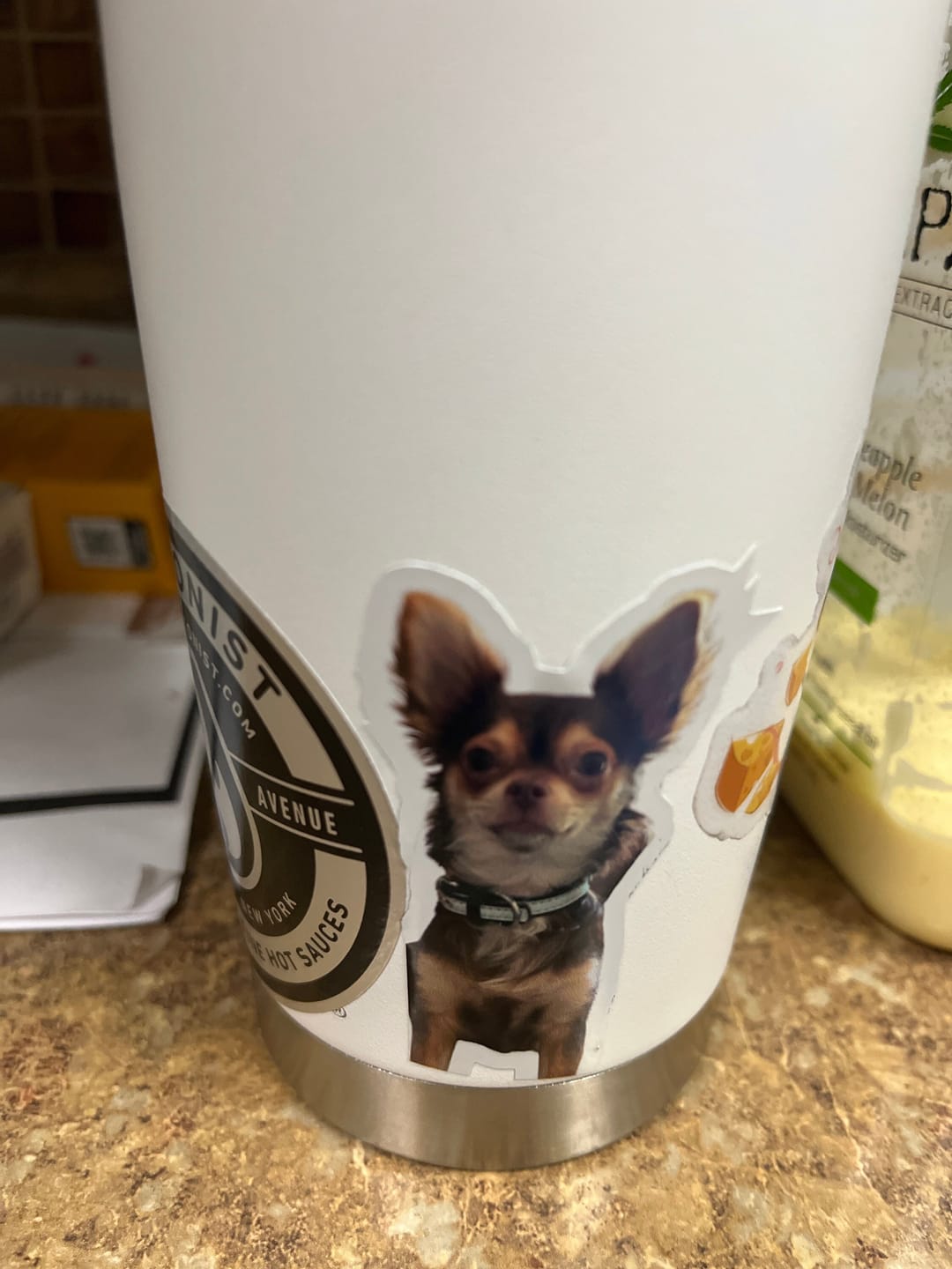 Customer photo review of CUSTOM PHOTO STICKER, Personalized Stickers, Pet Sticker, Laptop Sticker, Tumbler Sticker, Memorial Sticker, Water Bottle Sticker