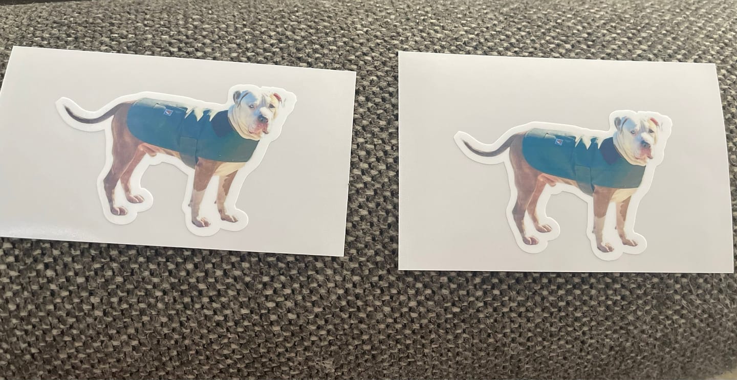 Customer photo review of CUSTOM PHOTO STICKER, Personalized Stickers, Pet Sticker, Laptop Sticker, Tumbler Sticker, Memorial Sticker, Water Bottle Sticker