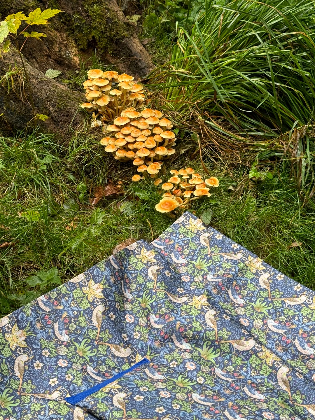 Customer photo review of William Morris Garden Birds Water Resistant Fabric