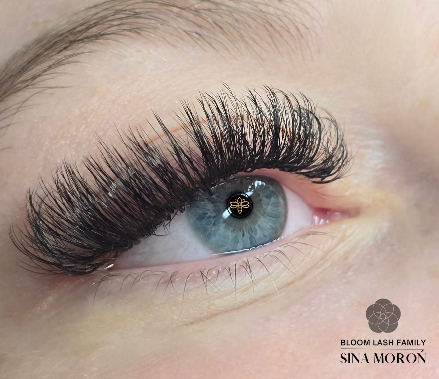 Customer photo review of Wispy 5D Lashes Wimpernfächer Speedy Mixbox 1200 Fächer