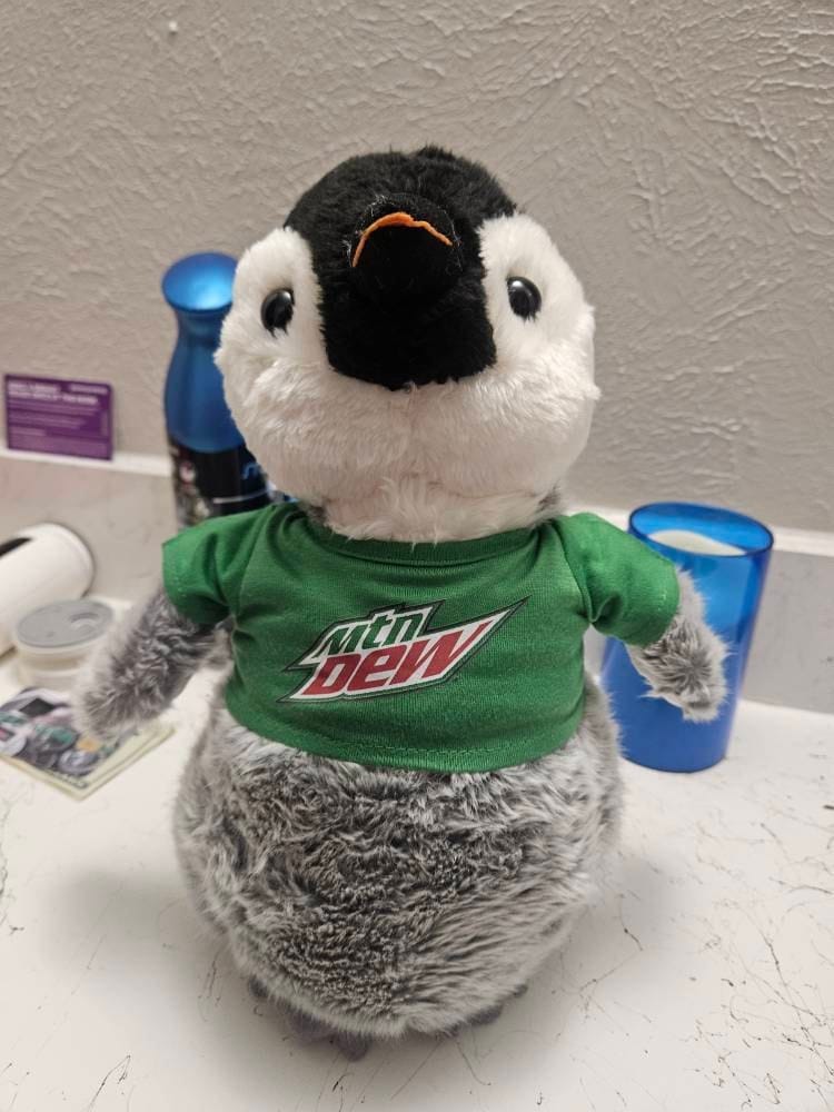 Customer photo review of CUSTOM Stuffed Animal T-SHIRT, Fits 8 Inch Stuffed Animals, Personalized Photo and Text Shirt