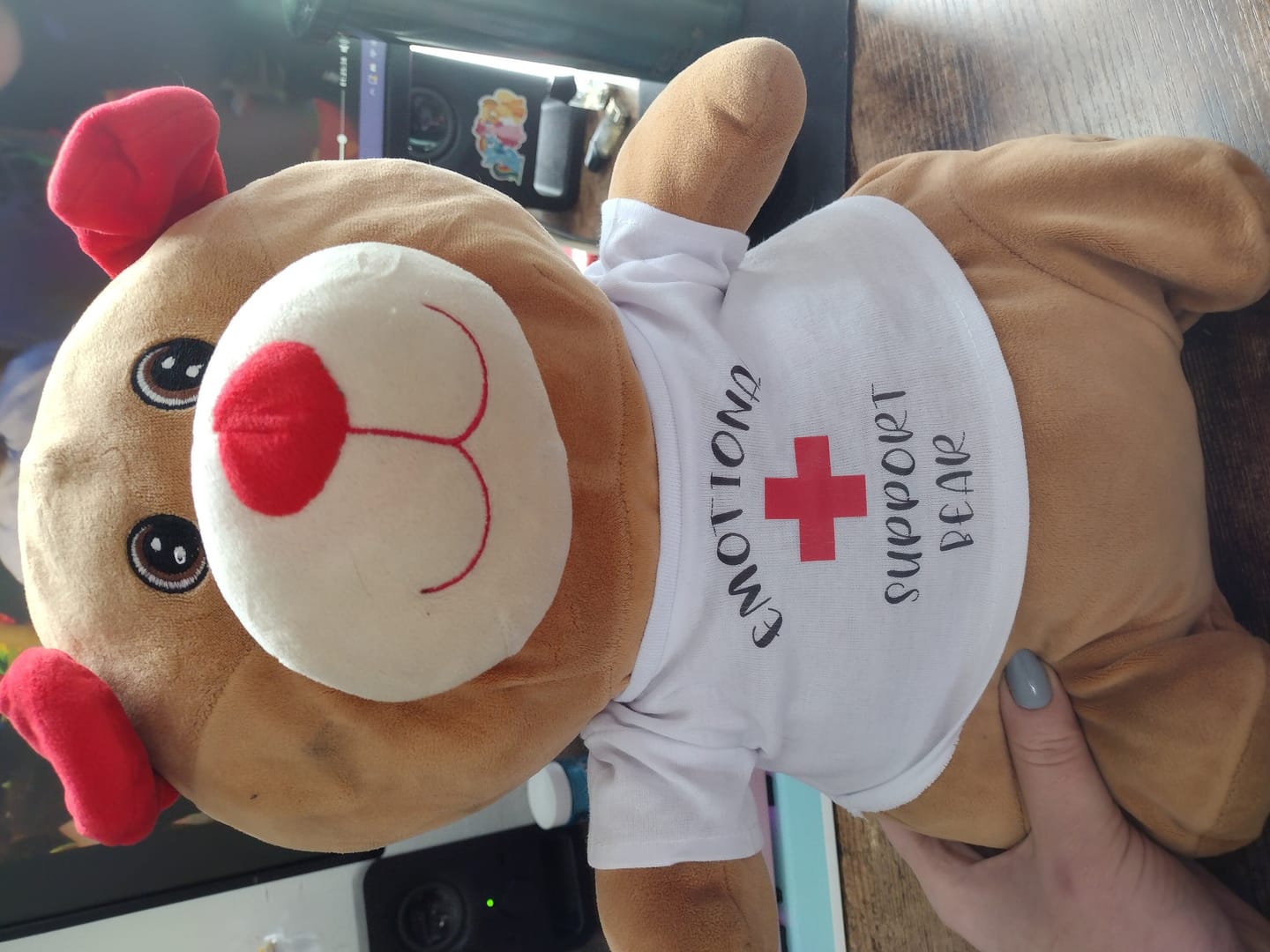 Customer photo review of EMOTIONAL SUPPORT Bear T-Shirt | Fits BAB & 14 to 16 Inch Stuffed Animals | Teddy Bear Outfit | Plushie Clothing