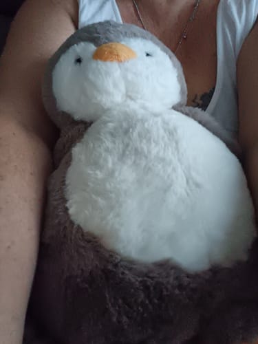 Customer photo review of Lightly Weighted Penguin Plush