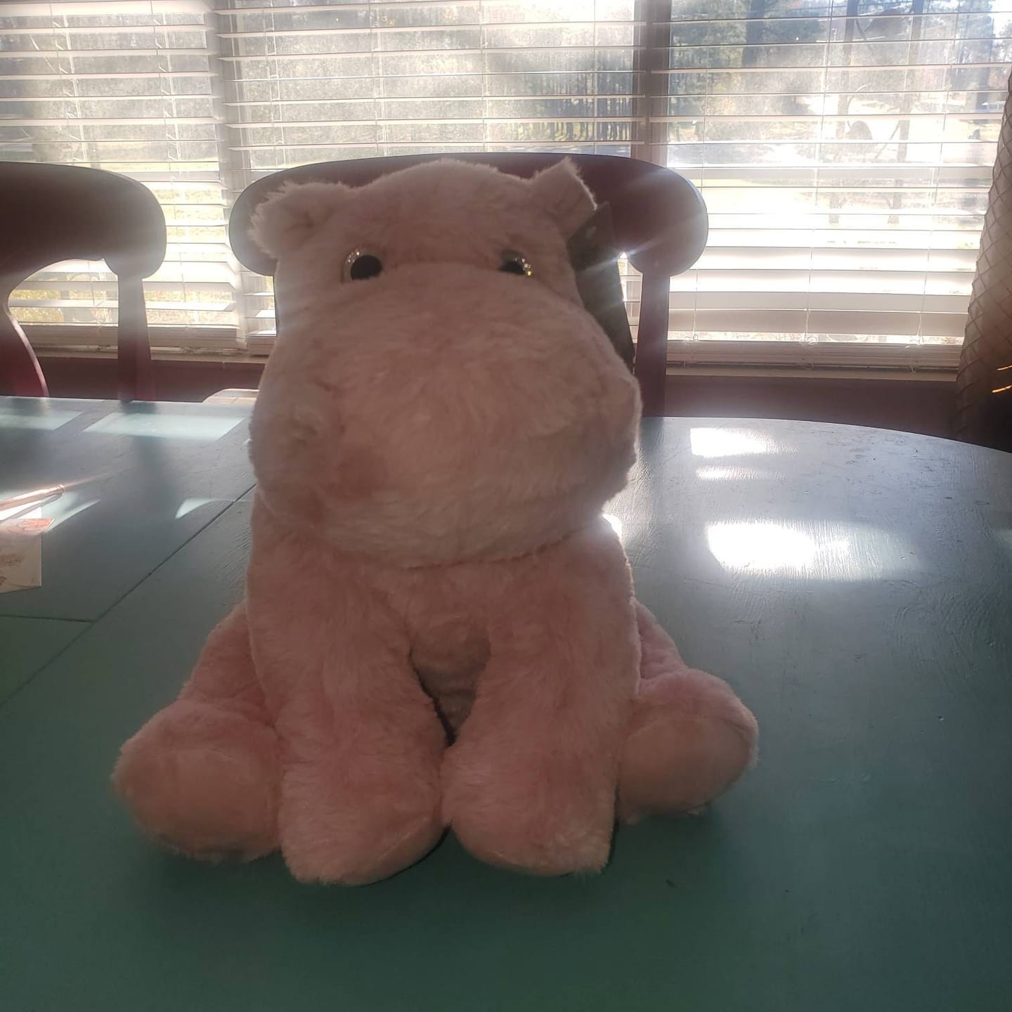 Customer photo review of WEIGHTED HIPPO Stuffed Animal, 16" Plushie, Sensory Comfort Toy, Anxiety Calming Plushie, Emotional Support Pet, Cuddly, Easter Gift