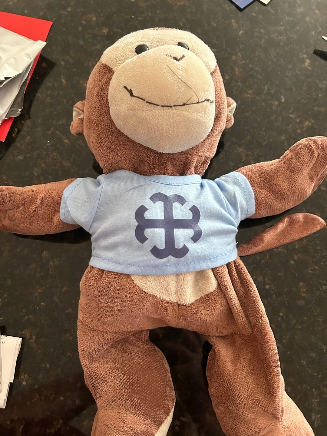 Customer photo review of CUSTOM Stuffed Animal T-SHIRT, Fits 8 Inch Stuffed Animals, Personalized Photo and Text Shirt