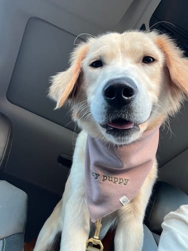 Customer photo review of Custom Saying Embroidered Bandana