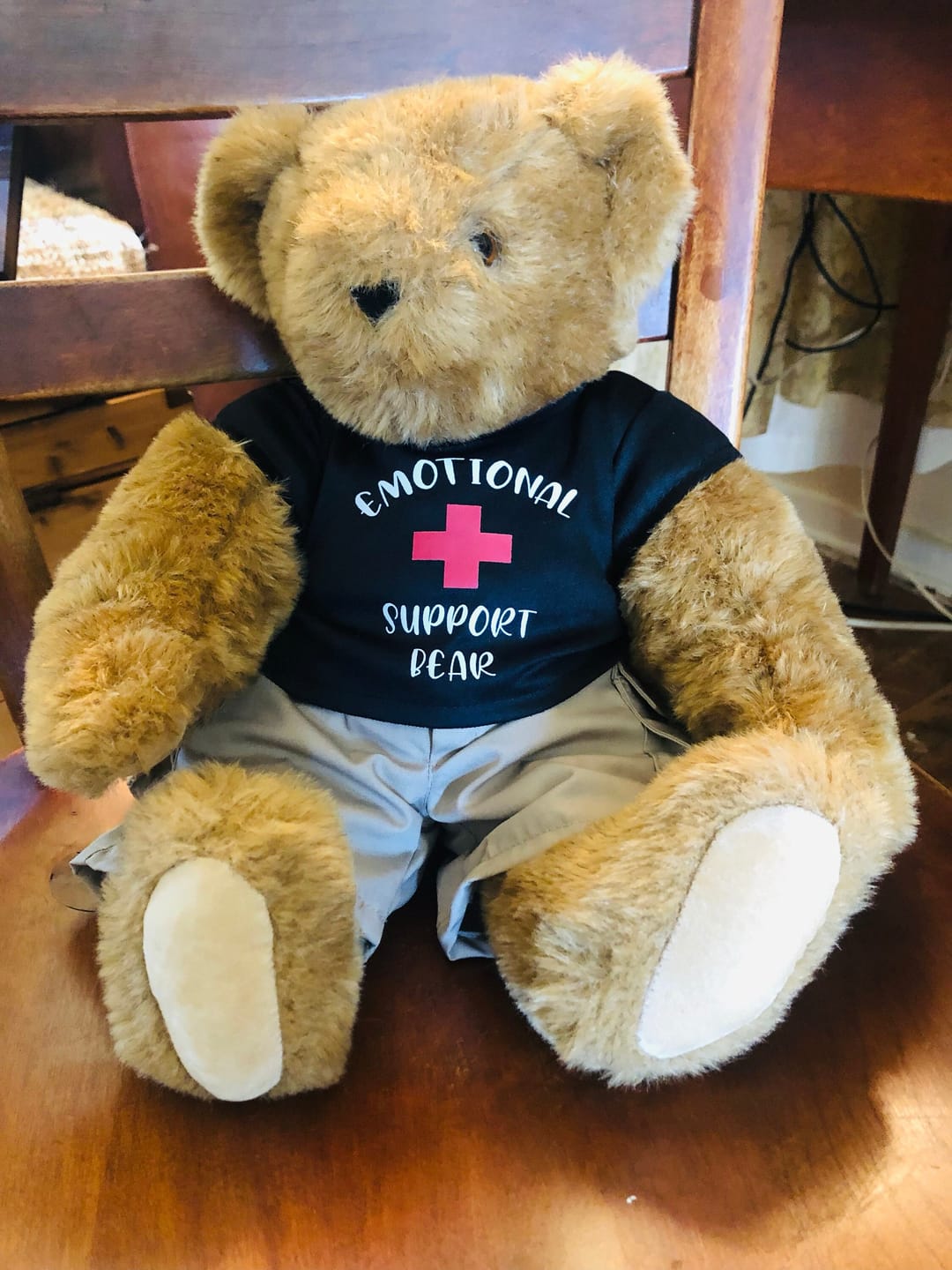 Customer photo review of EMOTIONAL SUPPORT Bear T-Shirt | Fits BAB & 14 to 16 Inch Stuffed Animals | Teddy Bear Outfit | Plushie Clothing