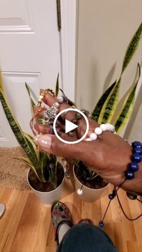 Customer video review of Free Guided Meditation for Activating the Third Eye Chakra
