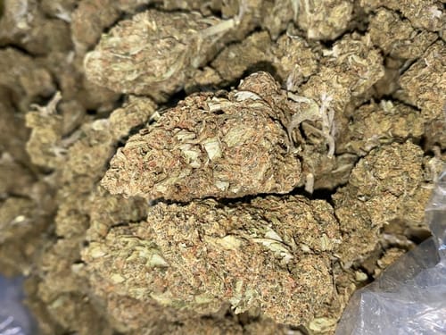 Customer photo review of AVENTUS8 FLOWER D-8 D-9 THC-P BLEND Blue Dream 18g