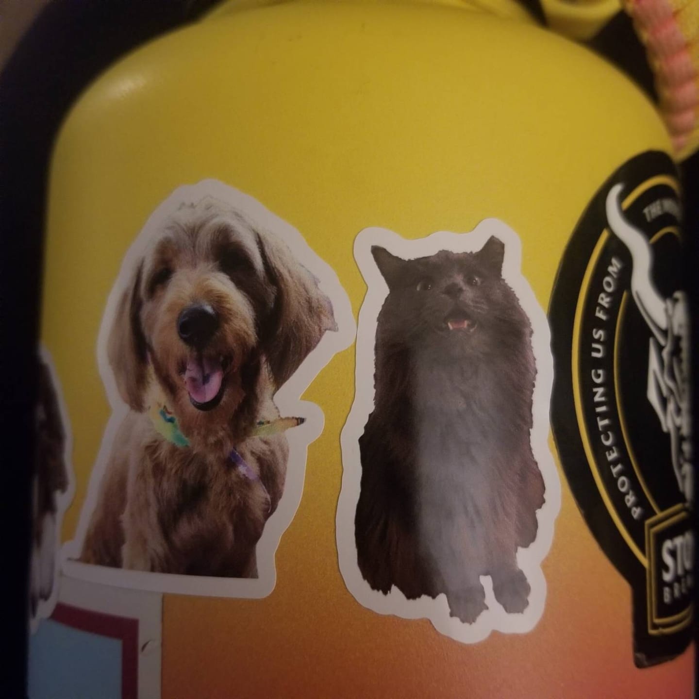 Customer photo review of CUSTOM PHOTO STICKER, Personalized Stickers, Pet Sticker, Laptop Sticker, Tumbler Sticker, Memorial Sticker, Water Bottle Sticker