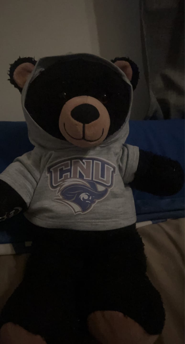 Customer photo review of CUSTOM Plushie HOODIE | Fits BAB and 14 to 16 Inch Stuffed Animals | Teddy Bear Outfit | Plushie Clothing