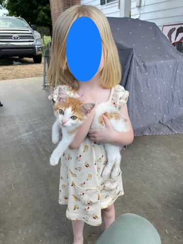 Customer photo review of Little Birds Frill Dress