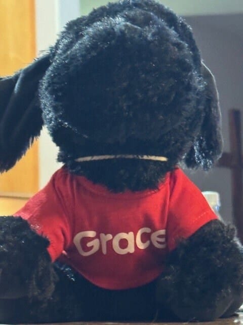 Customer photo review of CUSTOM Stuffed Animal T-SHIRT, Fits 8 Inch Stuffed Animals, Personalized Photo and Text Shirt