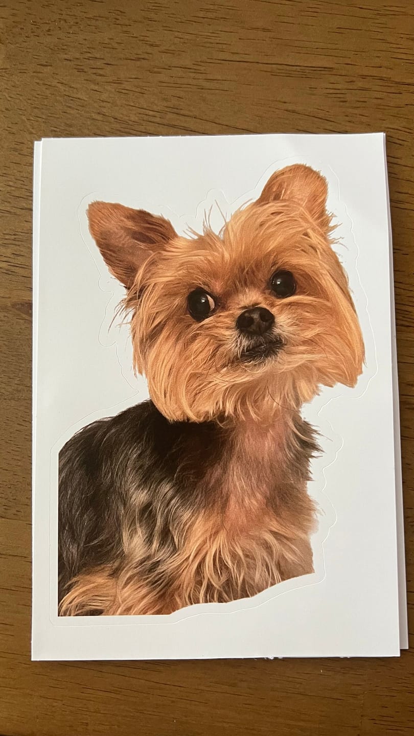 Customer photo review of CUSTOM PHOTO STICKER, Personalized Stickers, Pet Sticker, Laptop Sticker, Tumbler Sticker, Memorial Sticker, Water Bottle Sticker