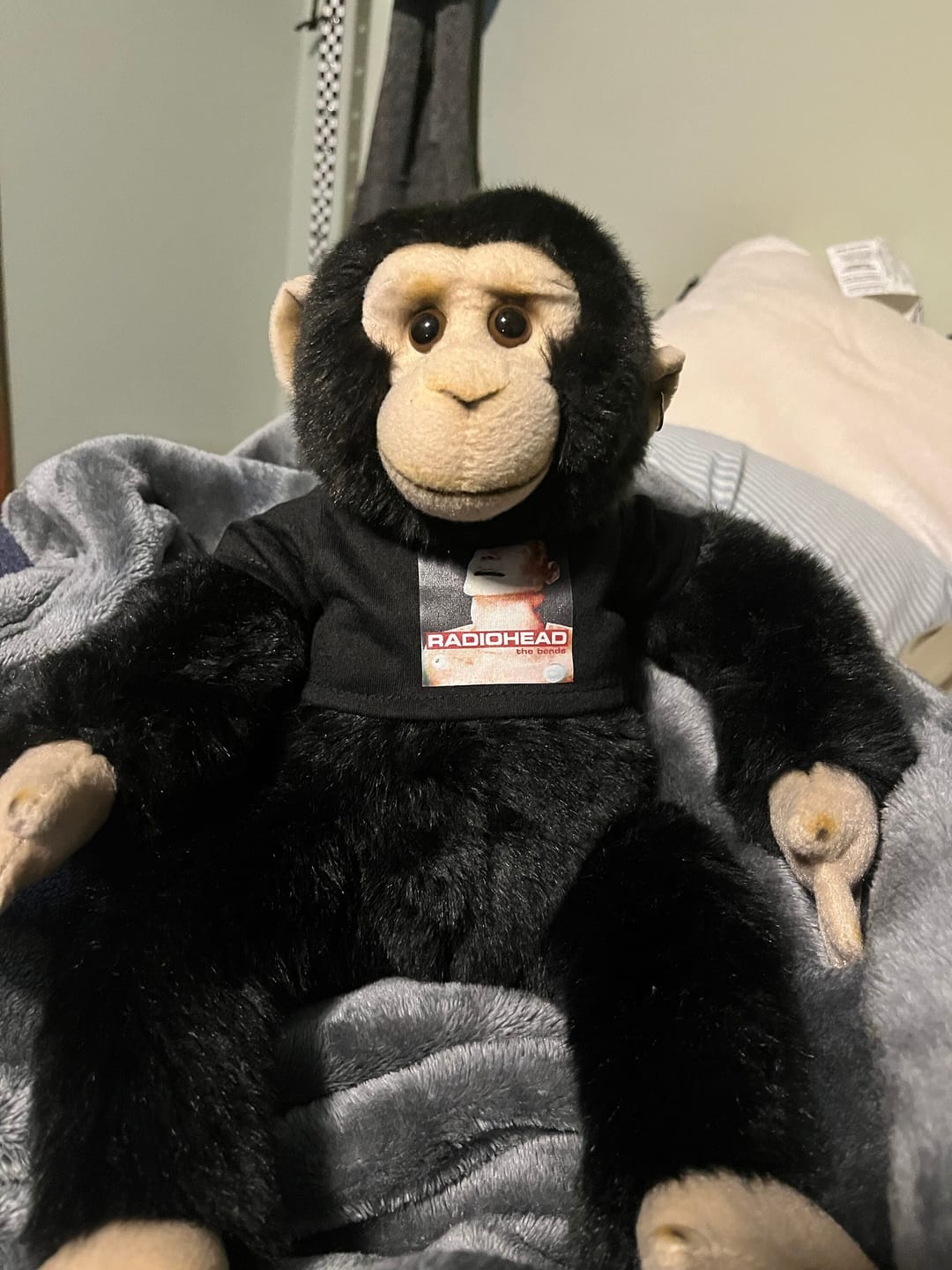 Customer photo review of CUSTOM Stuffed Animal T-SHIRT, Fits 8 Inch Stuffed Animals, Personalized Photo and Text Shirt