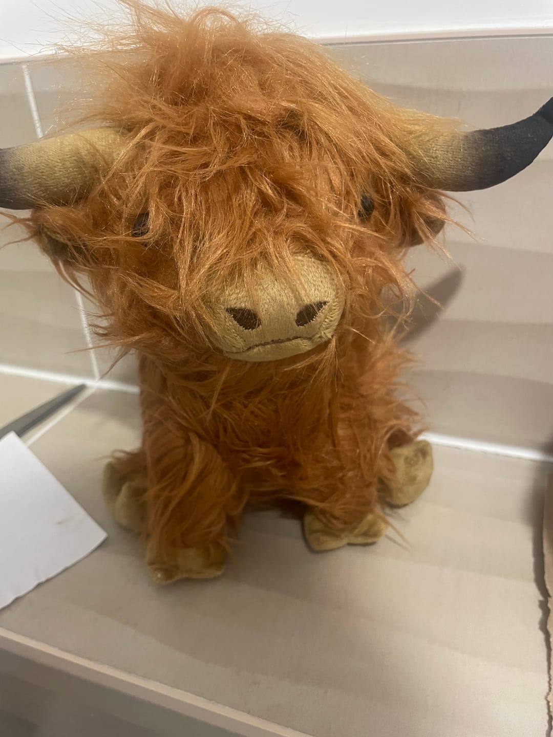 Customer photo review of Hairy Highland Cow Plushie
