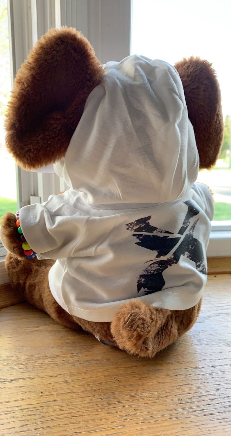 Customer photo review of CUSTOM Plushie HOODIE | Fits BAB and 14 to 16 Inch Stuffed Animals | Teddy Bear Outfit | Plushie Clothing