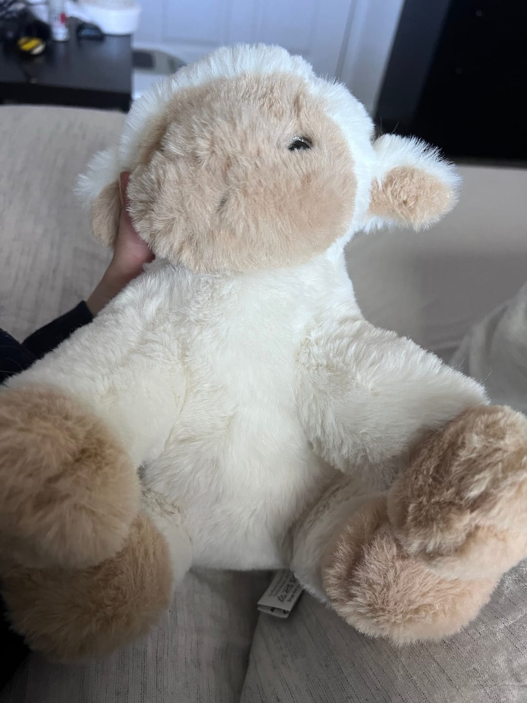 Customer photo review of RECORDABLE STUFFED Animal, 8" Plushie, Ultrasound Plush, Memorial Bear, Military Deployment, Personalized, Mother's Day, Easter Gift