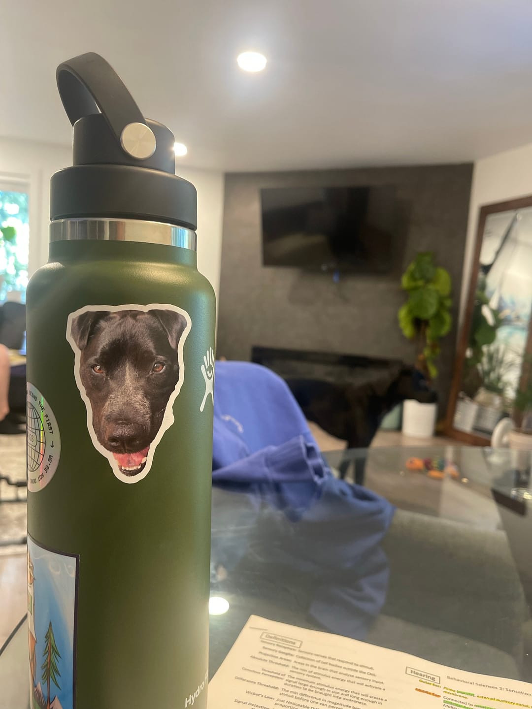Customer photo review of CUSTOM PHOTO STICKER, Personalized Stickers, Pet Sticker, Laptop Sticker, Tumbler Sticker, Memorial Sticker, Water Bottle Sticker