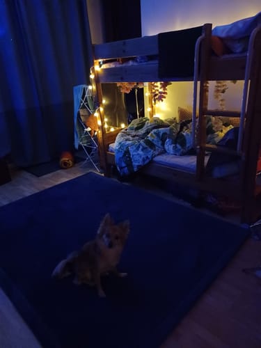 Customer photo review of The Mellow Mat® (Soft Touch Tatami Rug)