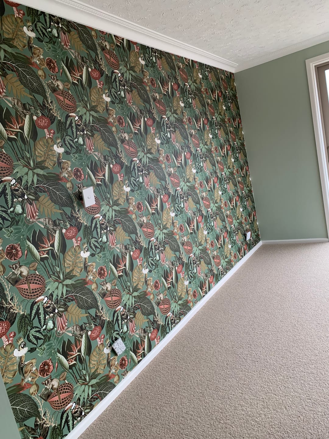 Customer photo review of Reverie Wonderland Wallpaper - Sage