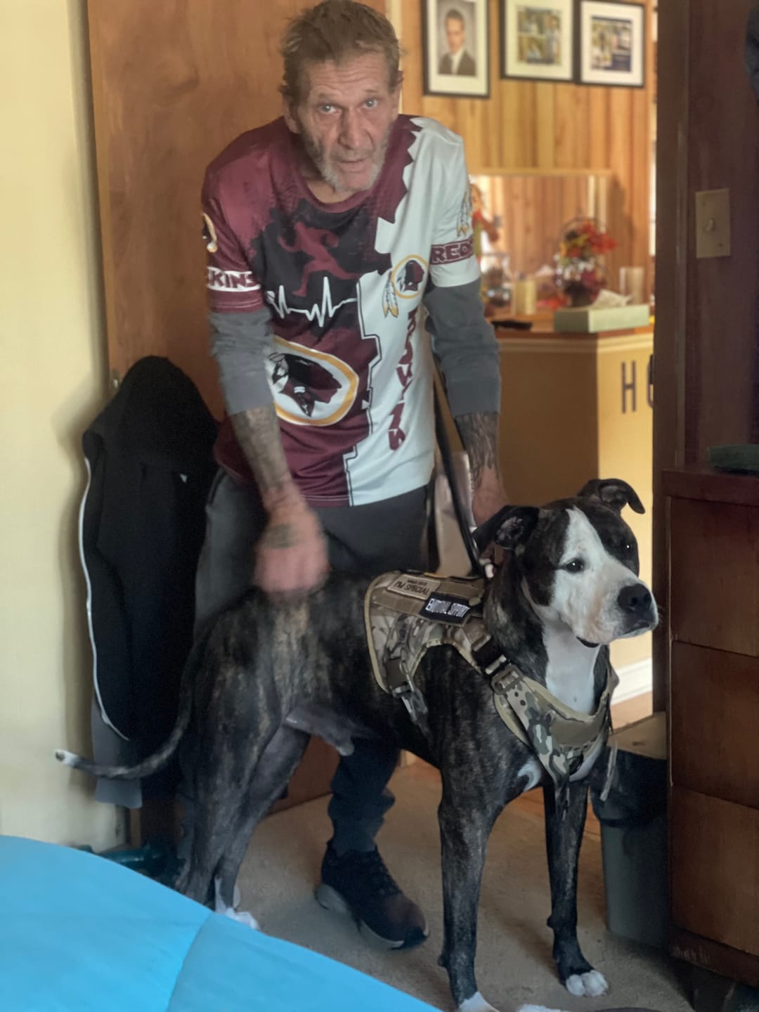 Customer photo review of Hook & Loop Patch Variety Bundle For Harness (Pack of 12)