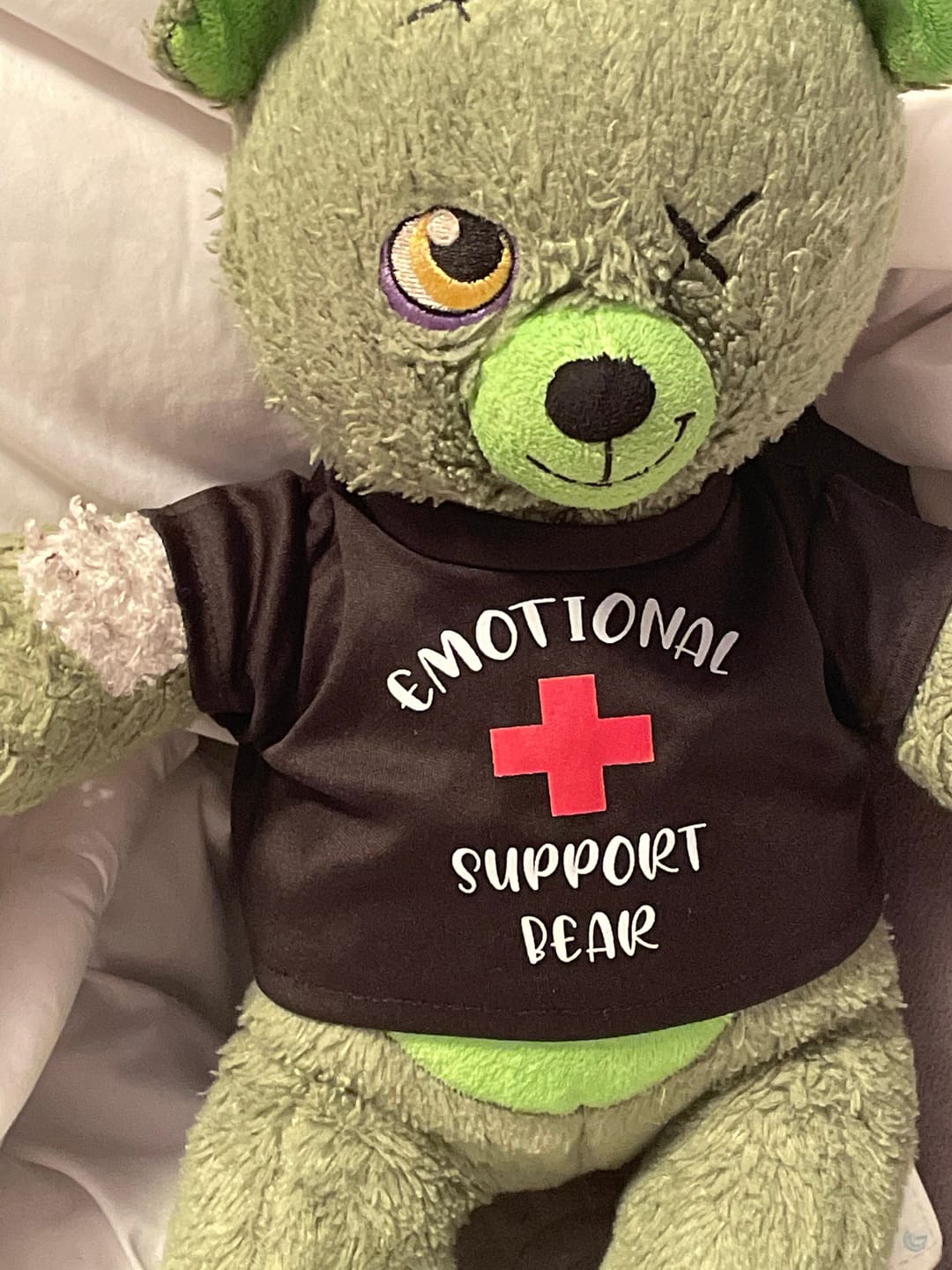Customer photo review of EMOTIONAL SUPPORT Bear T-Shirt | Fits BAB & 14 to 16 Inch Stuffed Animals | Teddy Bear Outfit | Plushie Clothing