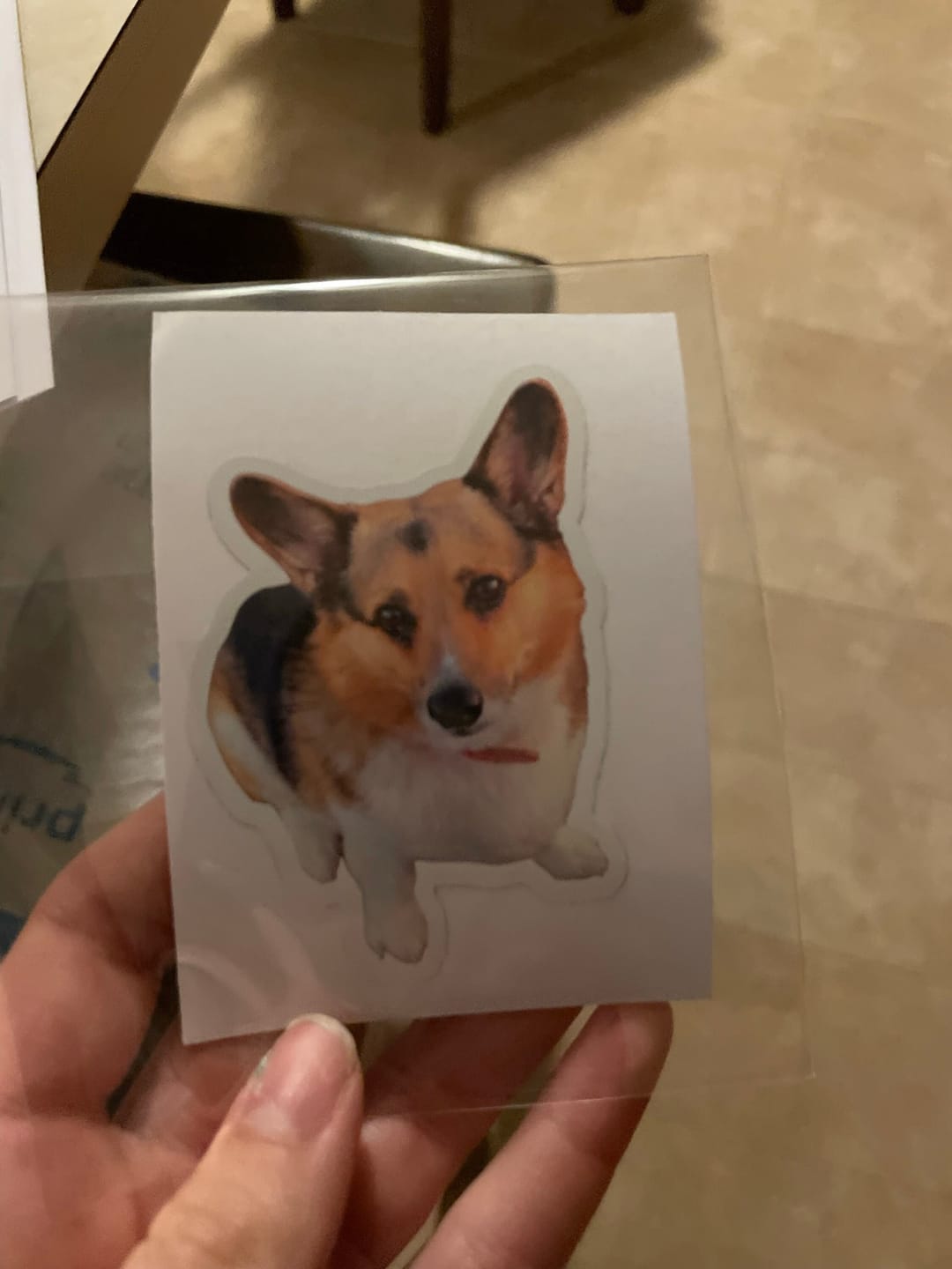 Customer photo review of CUSTOM PHOTO STICKER, Personalized Stickers, Pet Sticker, Laptop Sticker, Tumbler Sticker, Memorial Sticker, Water Bottle Sticker