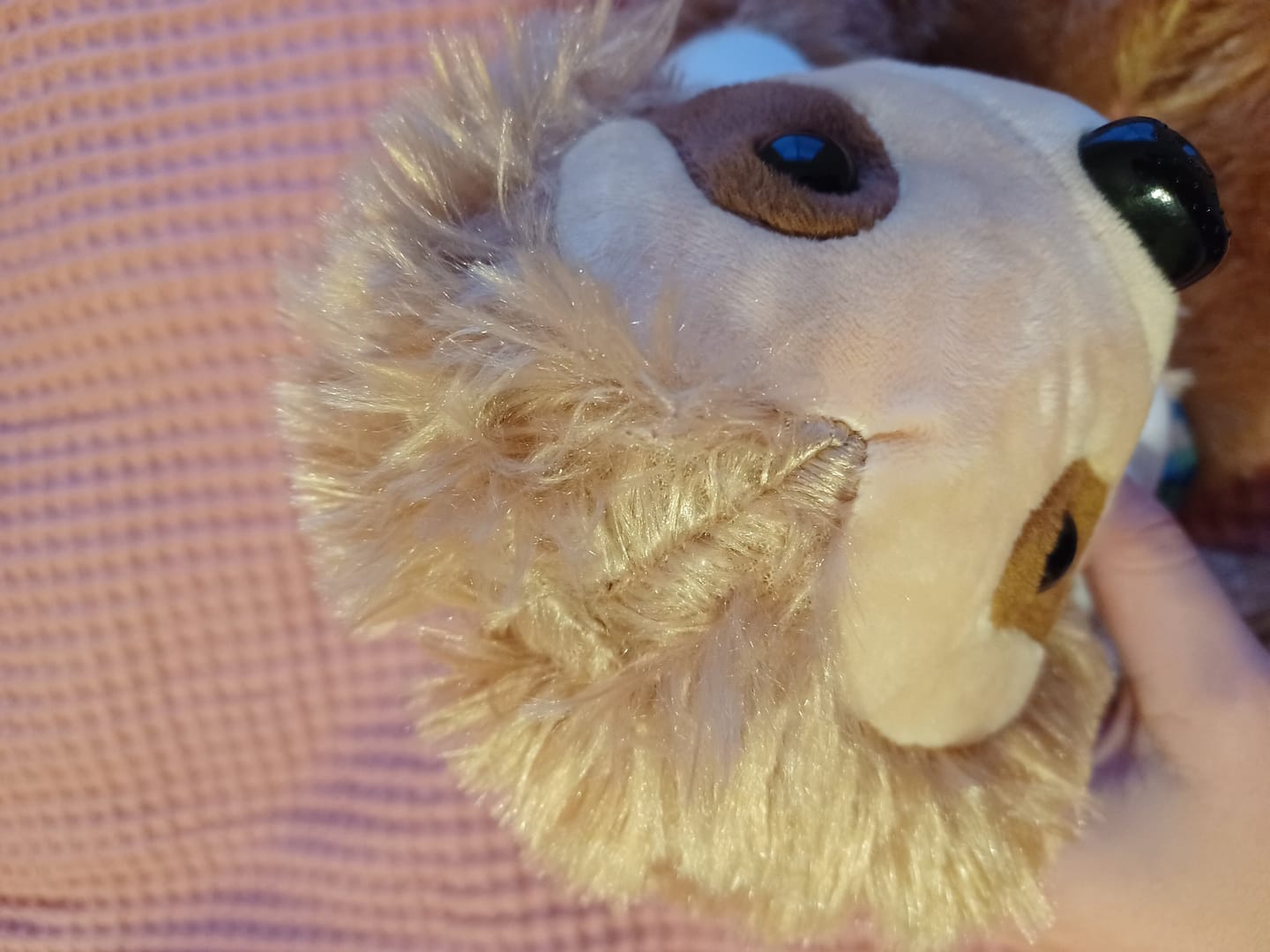 Customer photo review of WEIGHTED SLOTH Stuffed Animal, 16" Plushie, Sensory Comfort Toy, Anxiety Calming Plushie, Emotional Support Pet, Cuddly, Easter Gift