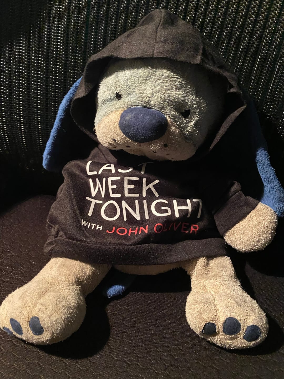 Customer photo review of CUSTOM Plushie HOODIE | Fits BAB and 14 to 16 Inch Stuffed Animals | Teddy Bear Outfit | Plushie Clothing