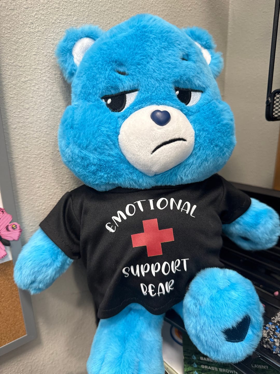 Customer photo review of EMOTIONAL SUPPORT Bear T-Shirt | Fits BAB & 14 to 16 Inch Stuffed Animals | Teddy Bear Outfit | Plushie Clothing
