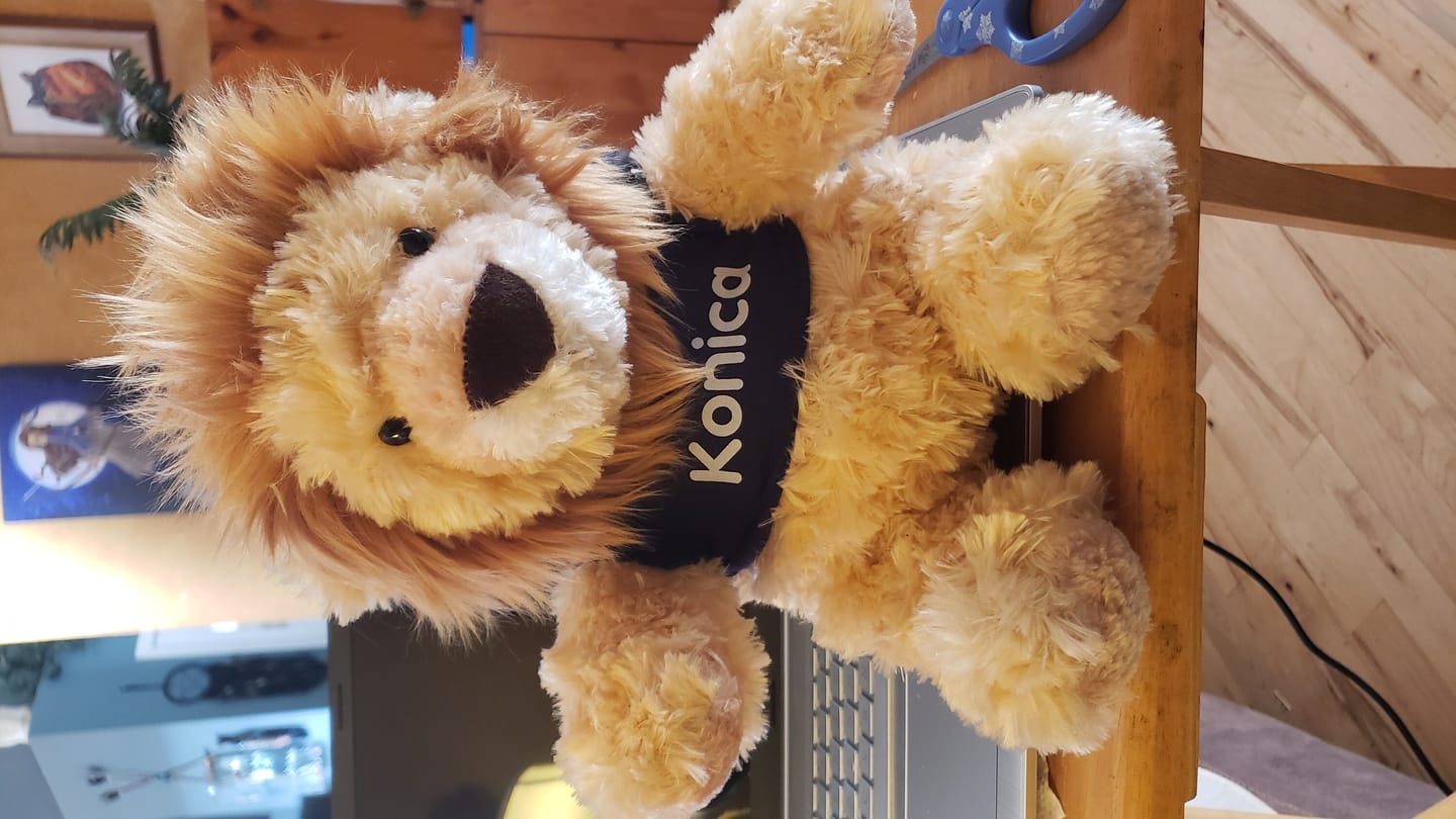 Customer photo review of CUSTOM Stuffed Animal T-SHIRT, Fits 8 Inch Stuffed Animals, Personalized Photo and Text Shirt