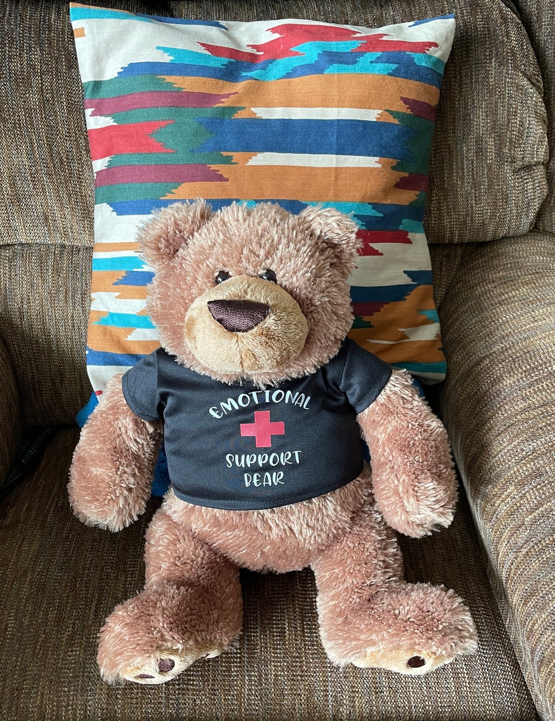 Customer photo review of EMOTIONAL SUPPORT Bear T-Shirt | Fits BAB & 14 to 16 Inch Stuffed Animals | Teddy Bear Outfit | Plushie Clothing