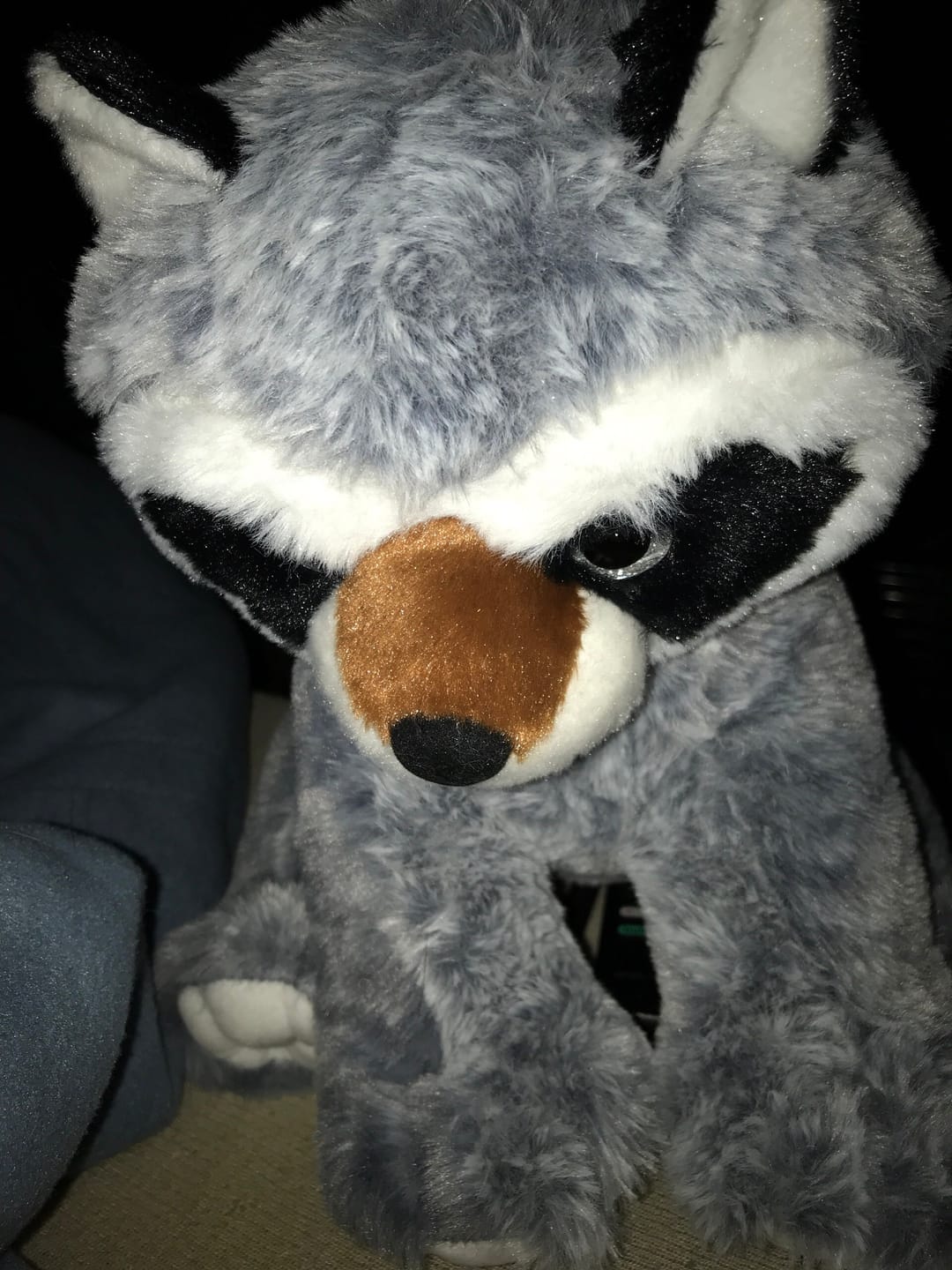Customer photo review of RACCOON Stuffed Animal, 16" Plushie, Make your Own Stuffie, Soft and Cuddly, DIY Kit