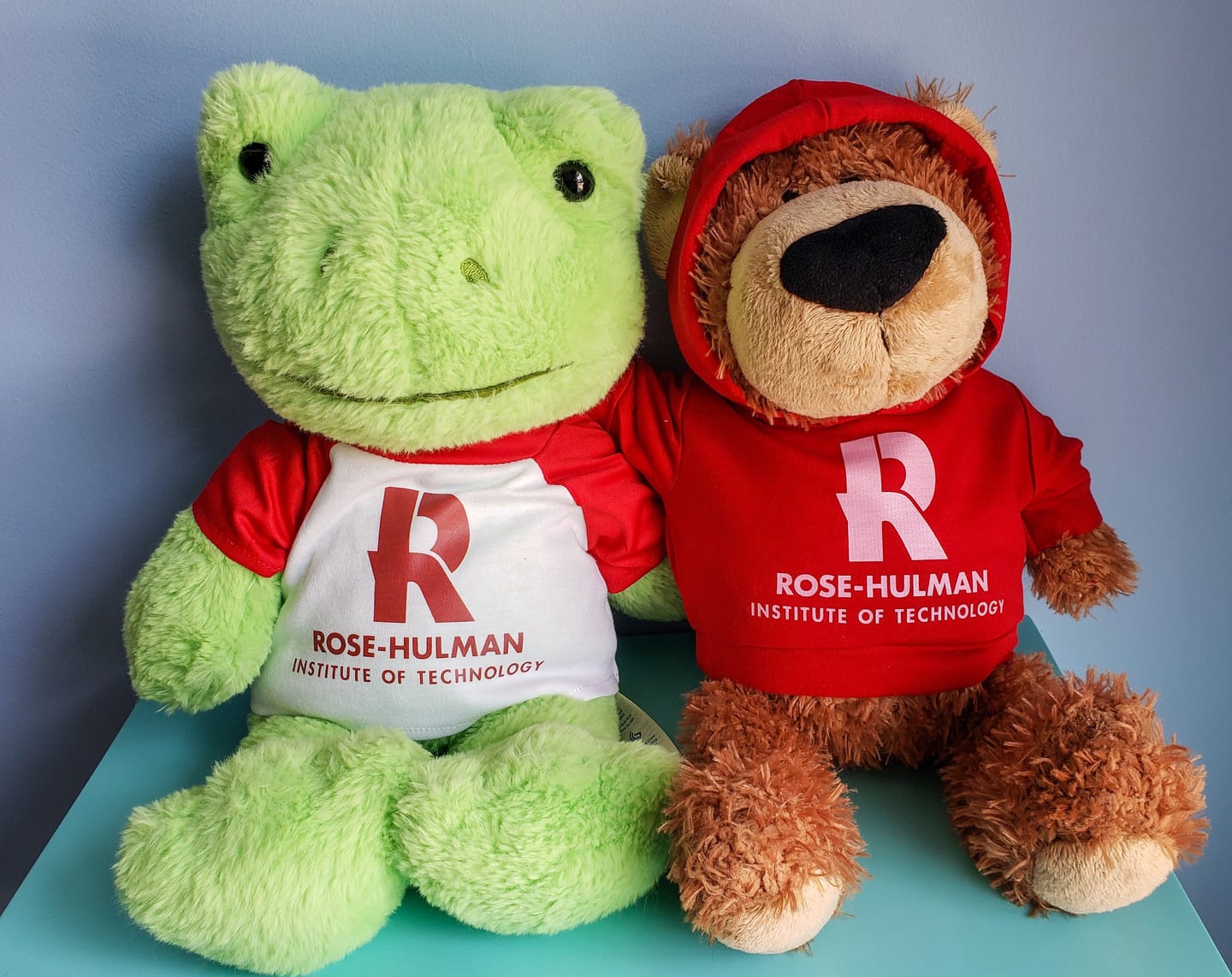 Customer photo review of CUSTOM Plushie HOODIE | Fits BAB and 14 to 16 Inch Stuffed Animals | Teddy Bear Outfit | Plushie Clothing