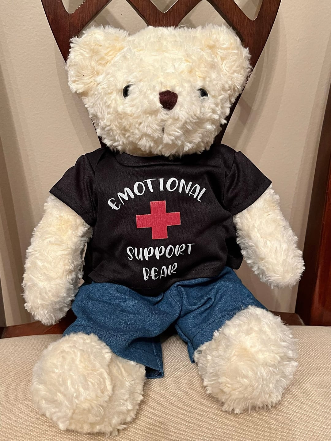 Customer photo review of EMOTIONAL SUPPORT Bear T-Shirt | Fits BAB & 14 to 16 Inch Stuffed Animals | Teddy Bear Outfit | Plushie Clothing