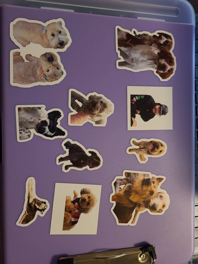 Customer photo review of CUSTOM PHOTO STICKER, Personalized Stickers, Pet Sticker, Laptop Sticker, Tumbler Sticker, Memorial Sticker, Water Bottle Sticker
