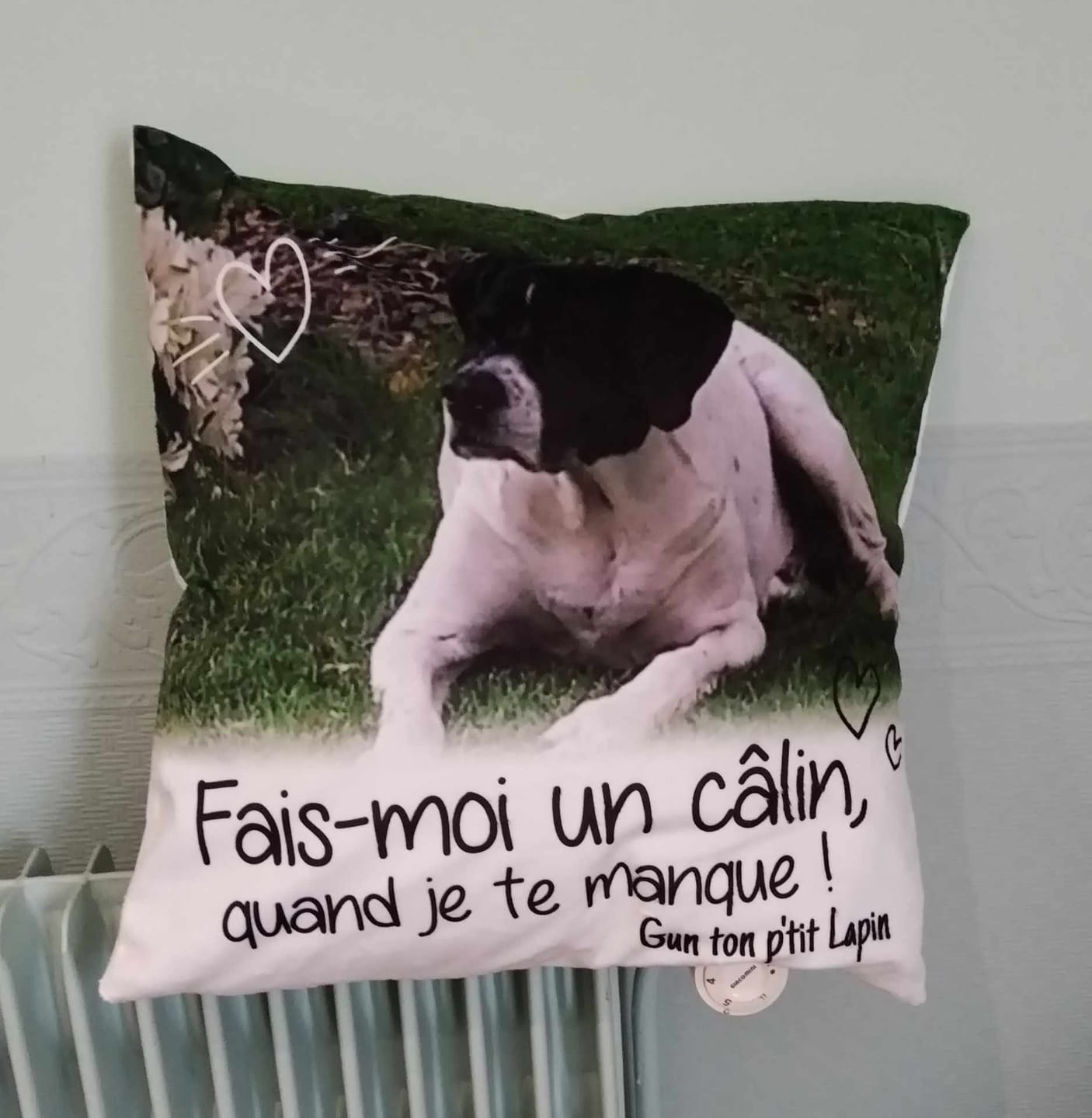 Customer photo review of Fais moi un câlin quand je te manque - Coussin personnalisé