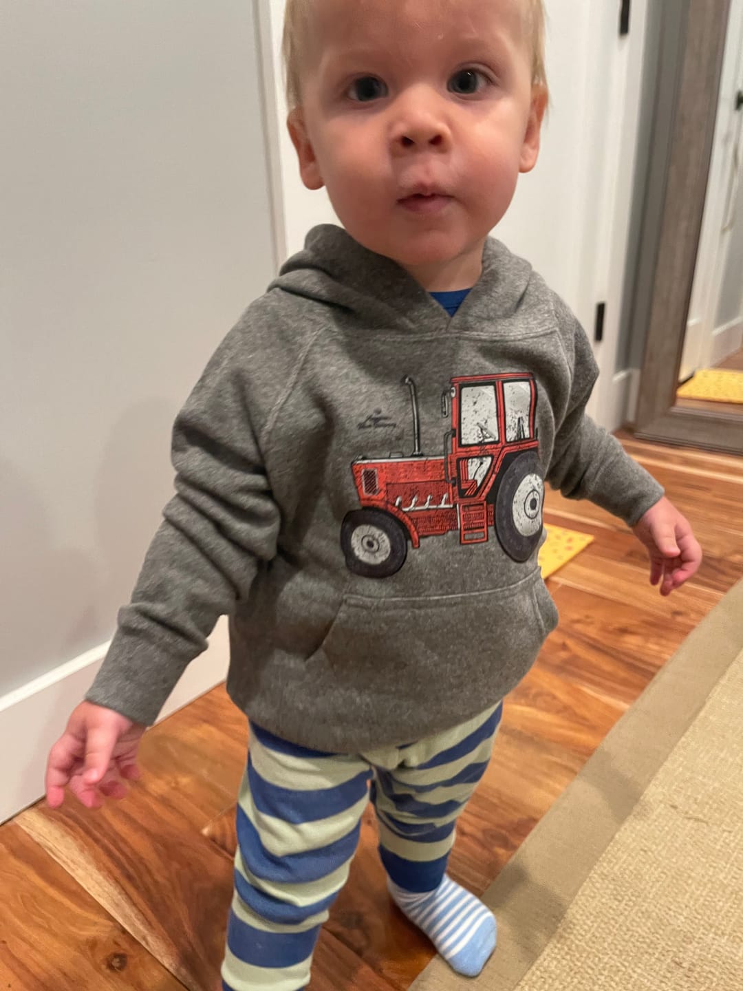 Customer photo review of 'Red Tractor' Youth & Toddler Hoodie