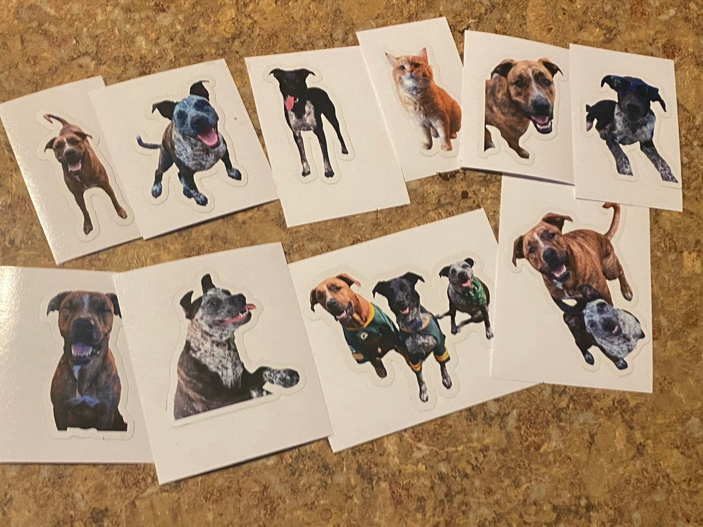 Customer photo review of CUSTOM PHOTO STICKER, Personalized Stickers, Pet Sticker, Laptop Sticker, Tumbler Sticker, Memorial Sticker, Water Bottle Sticker