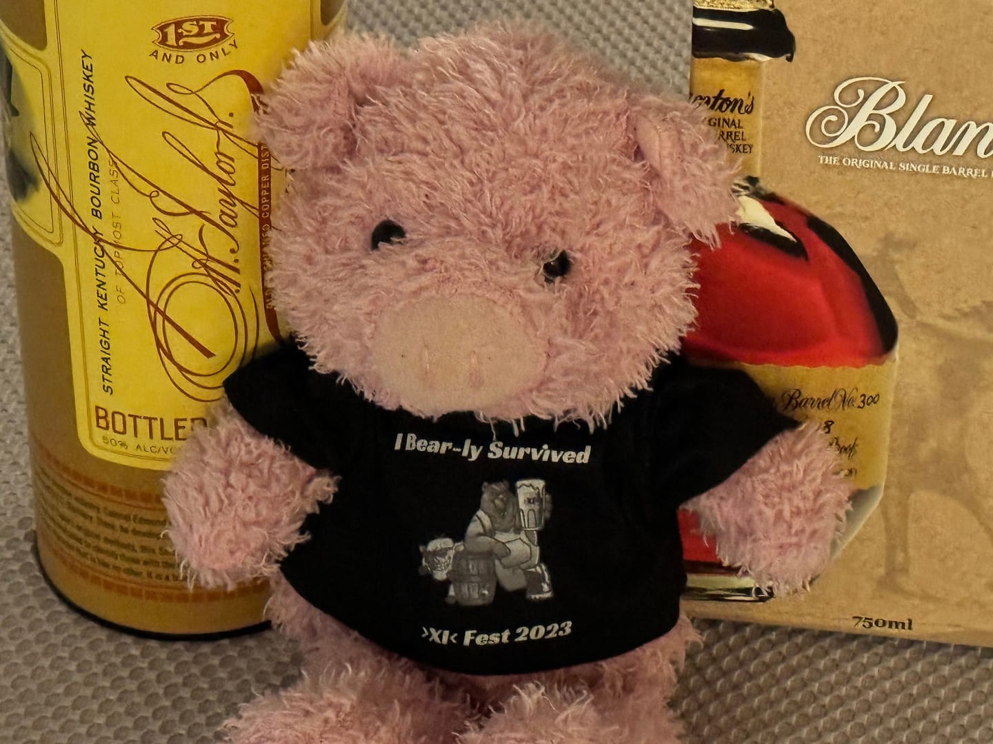 Customer photo review of CUSTOM Stuffed Animal T-SHIRT, Fits 8 Inch Stuffed Animals, Personalized Photo and Text Shirt