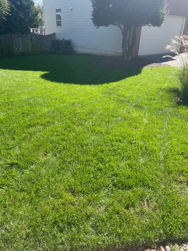 Customer photo review of GCI Turf Spreader Elite Grass Seed
