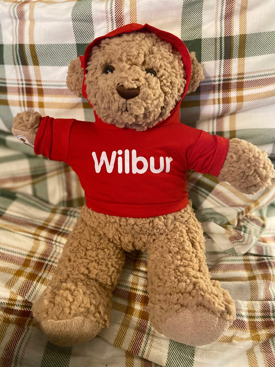 Customer photo review of CUSTOM Plushie HOODIE | Fits BAB and 14 to 16 Inch Stuffed Animals | Teddy Bear Outfit | Plushie Clothing