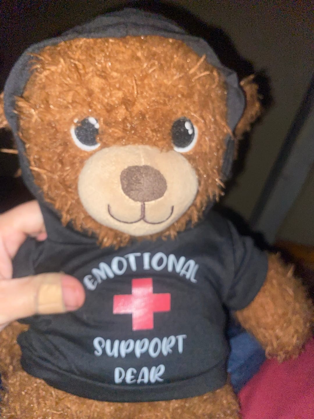 Customer photo review of CUSTOM Plushie HOODIE | Fits BAB and 14 to 16 Inch Stuffed Animals | Teddy Bear Outfit | Plushie Clothing