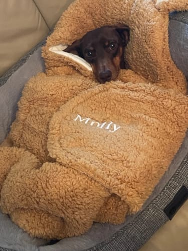 Customer photo review of Personalized Bunny Baby Swaddle