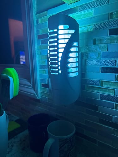 Customer photo review of BuzzTrap Refills (8-Pack) Sticky Pads